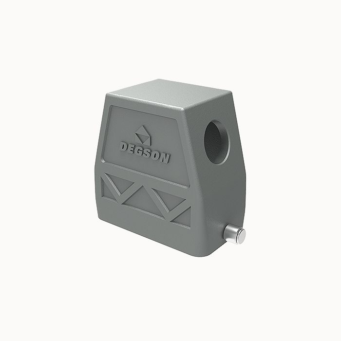 На фото: разъем d10b-seh-2g-pg21 DEGSON (Дегсон) 