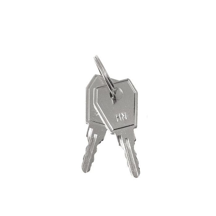 На фото: ключ для пластикового замка к щрн (арт. lock-shrn-ip31) ekf proxima ЭКФ (ЕКФ)