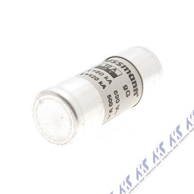 цилиндрические предохранители c22g10